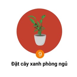 đặt cây xanh phòng ngủ